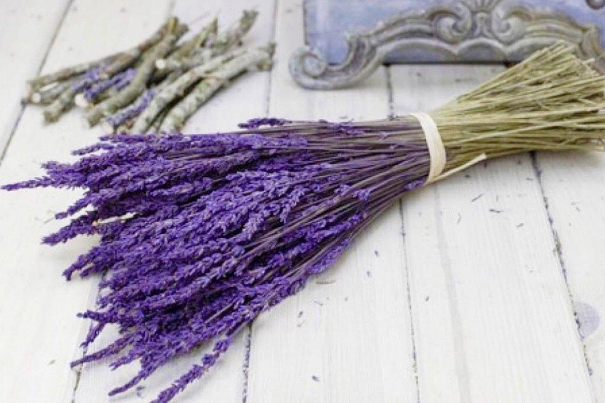 Ramillete de lavanda preservada  Decoración de unas, Lavanda, Flores