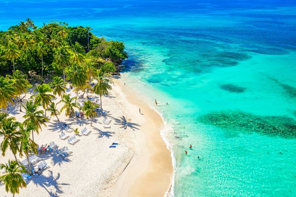 Espectacular playa con palmeras en República Dominicana