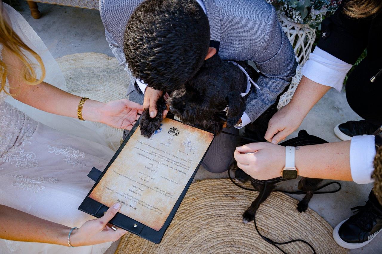 Perrito firmando como testigo