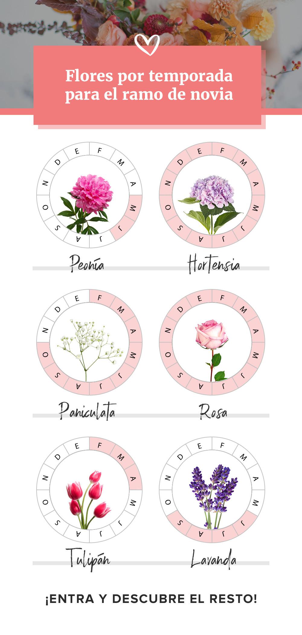 infografía sobre las mejores flores de temporada para el ramo de novia