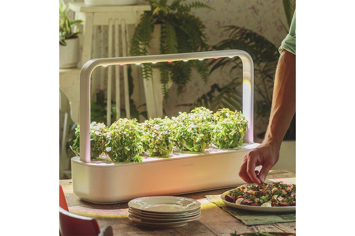 Regalos Bodas de Oro: huerto interior