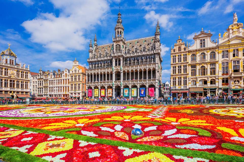 Imagen general de la Grand Place de Bruselas, cubierta por una gigante alfombra de flores
