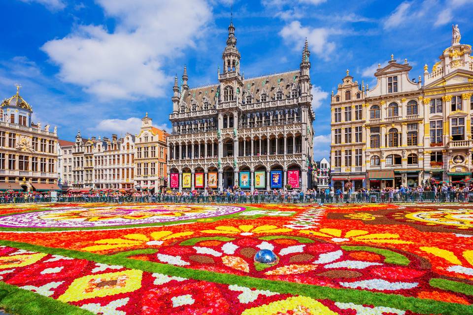 Qué hacer en Bruselas: Grand Place cubierta por una gigante alfombra de flores