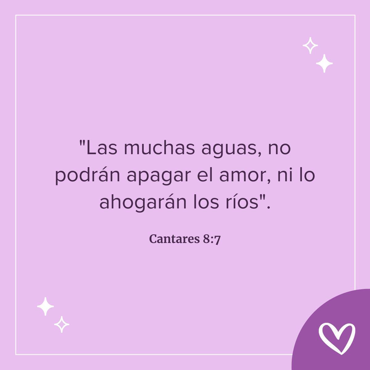cantares 8:7 versiculos amor biblia