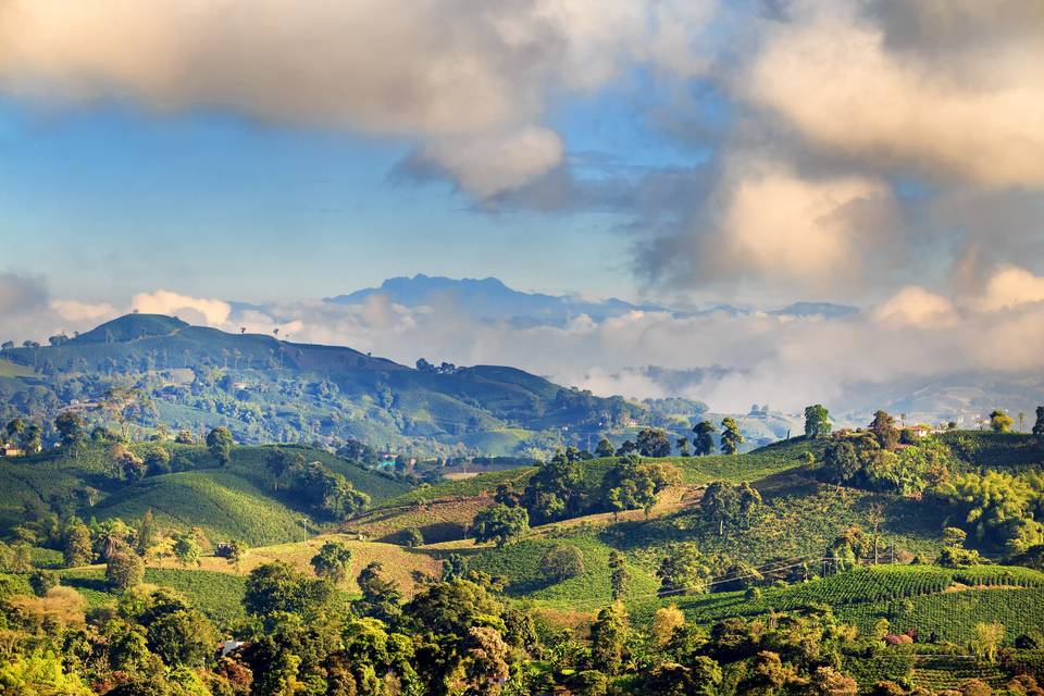 Los 10 mejores lugares para una luna de miel en Colombia