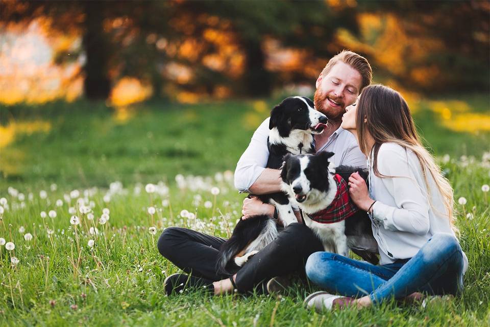 Hablar de relaciones pasadas con tu pareja: pareja sentada sobre césped y muy cariñosa con sus dos perros, muy parecidos