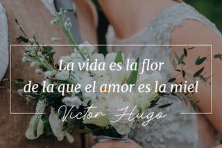 Frases de amor de libros: La vida es la flor de la que el amor es la miel, de Victor Hugo