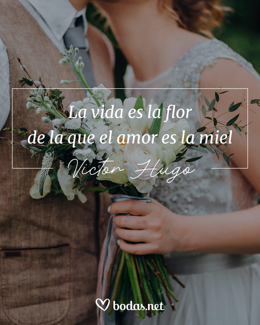 Frases de amor de libros: La vida es la flor de la que el amor es la miel, de Victor Hugo