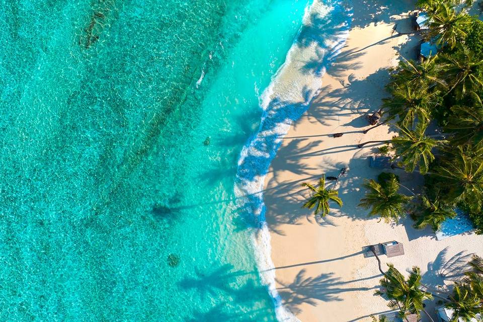 Luna de miel en Maldivas: playa de arena blanca, palmeras tropicales y aguas turquesa