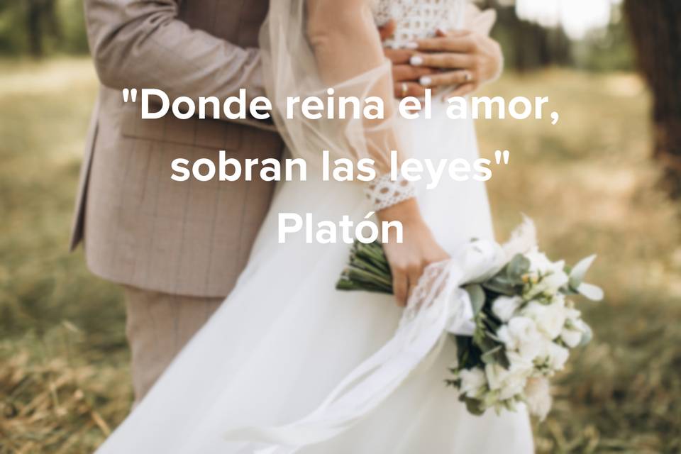 Frases boda: Donde reina el amor, sobran las leyes, de Platón