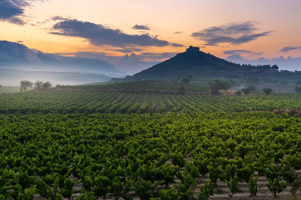 Escapada romántica La Rioja: viñedos con castillo Davalilo al fondo