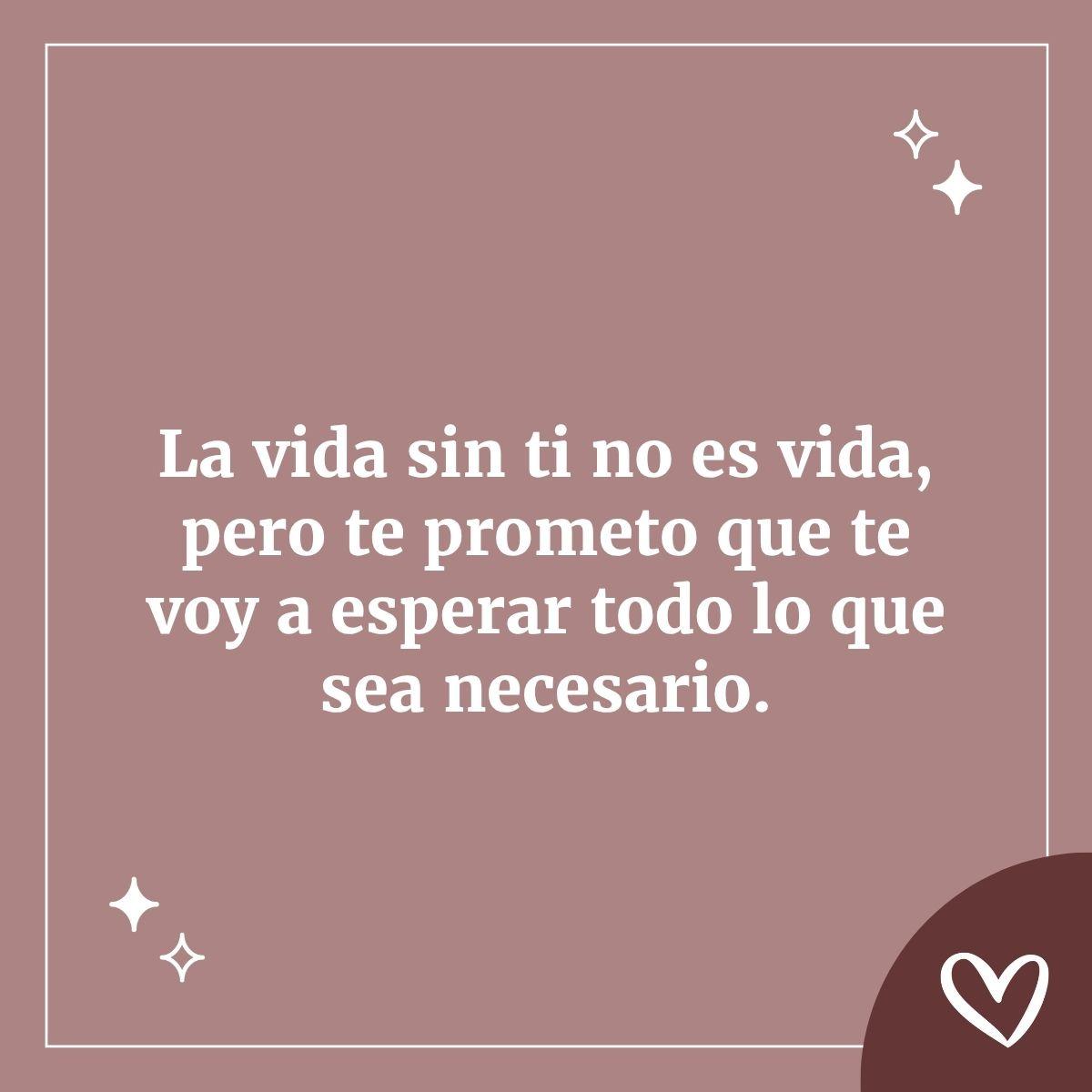 frase para boda bienvenida la vida sin ti no es vida pero te prometo que te voy a esperar todo lo que sea necesario