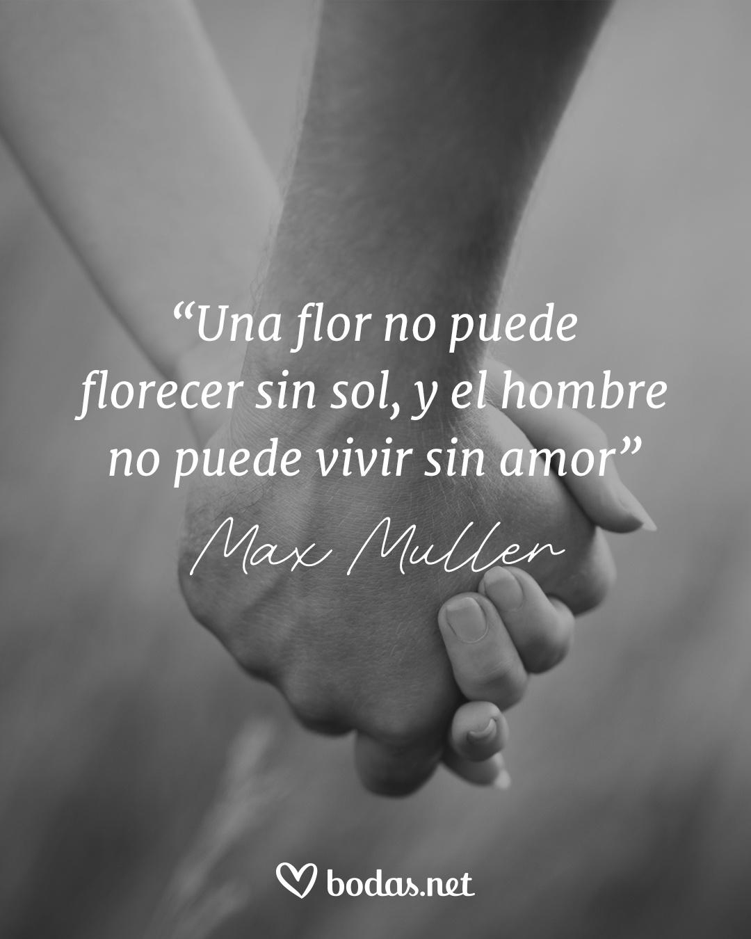 Frases de amor de escritores: Una flor no puede florecer sin sol, y el hombre no puede vivir sin amor, de Max Muller;