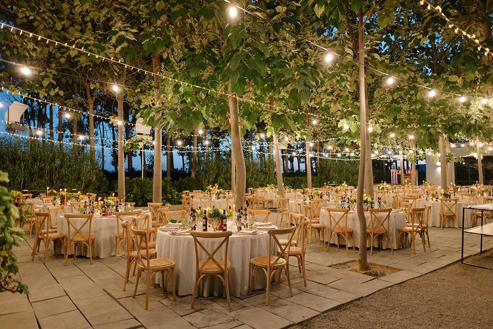 ¿Cuánto cuesta un banquete en España? Precio del menú de boda (Actualizado 2026)