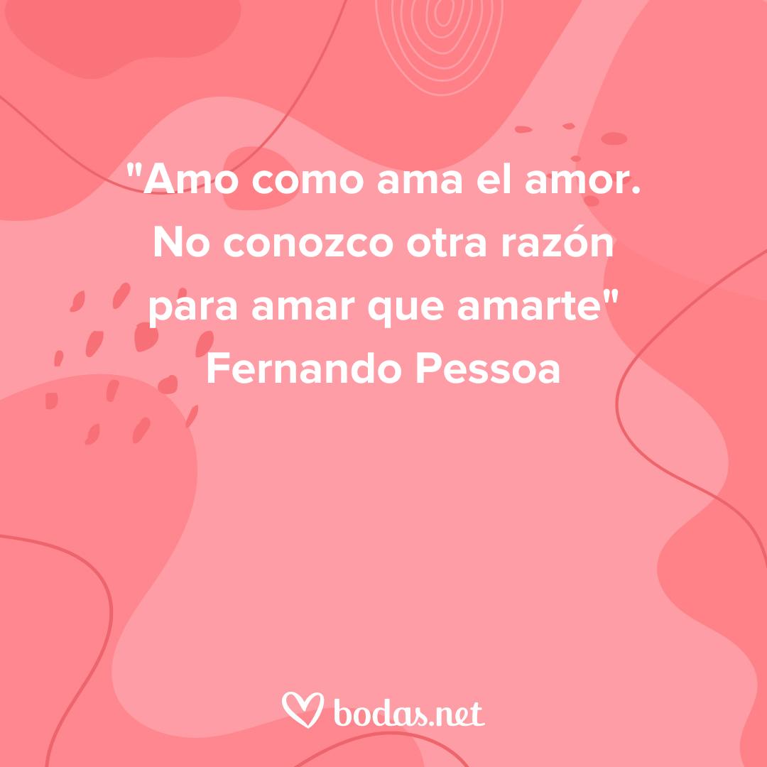 Frases de poetas de amor: Amo como ama el amor. No conozco otra razón para amar que amarte, de Fernando Pessoa