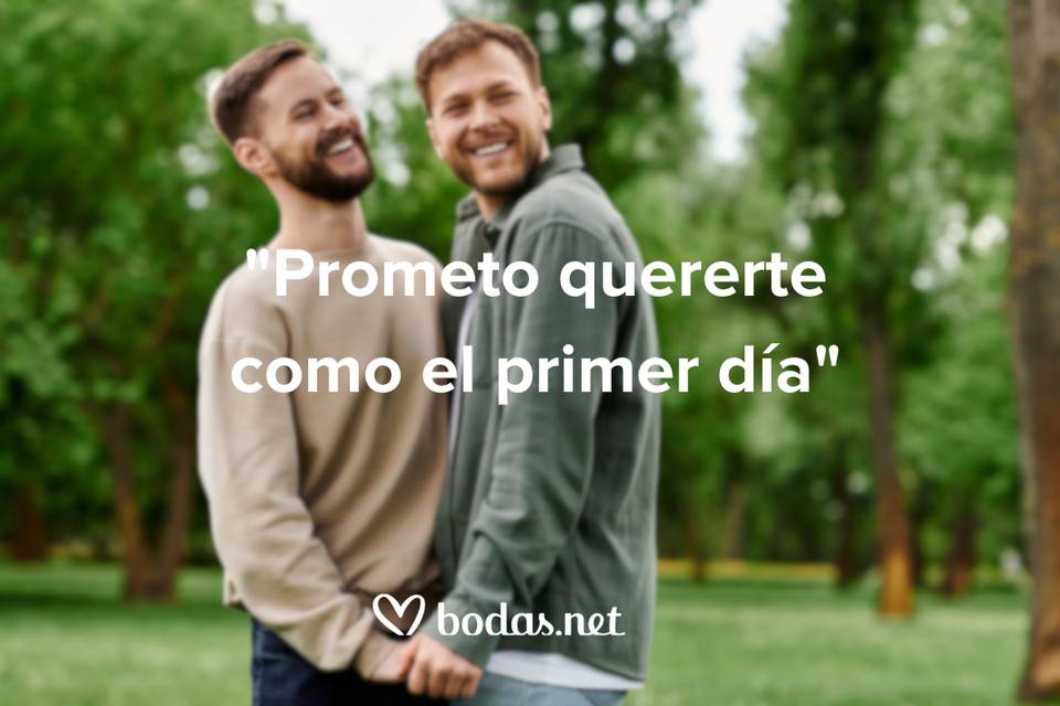 Promesas de amor: Prometo quererte como el primer día