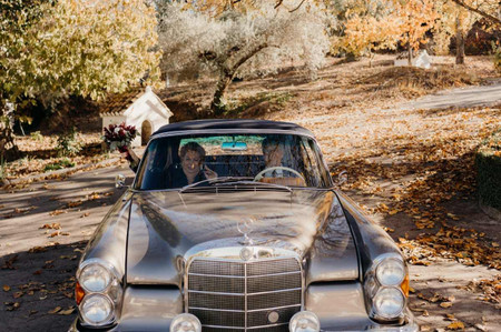 Frases para Bodas de Oro: dedicatorias graciosas para los 50 años de casados