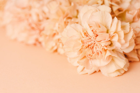 Peach Fuzz, el Color del Año 2024 según Pantone. ¡Descubrid cómo usarlo en vuestra boda!