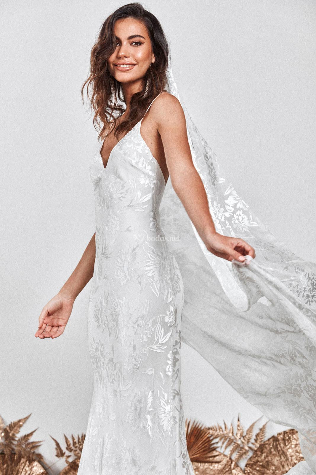 loyola grace loves lace