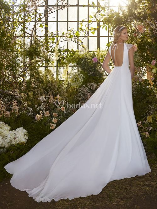 EVERALL, Pronovias