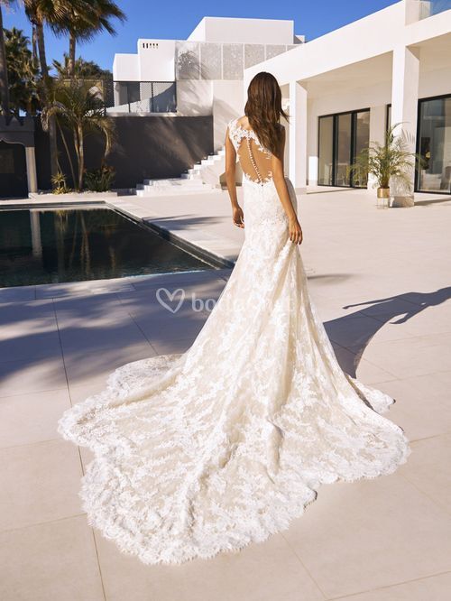 lyra, Pronovias