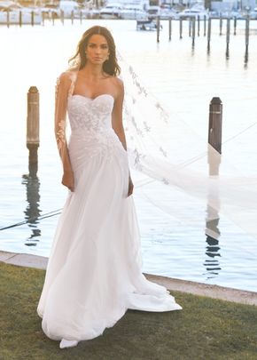 lizette, Pronovias