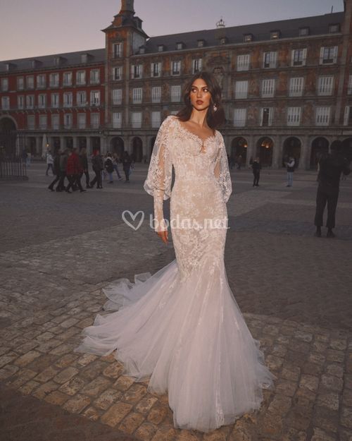 CLARE, Galia Lahav