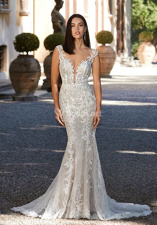 Style 8194, Demetrios