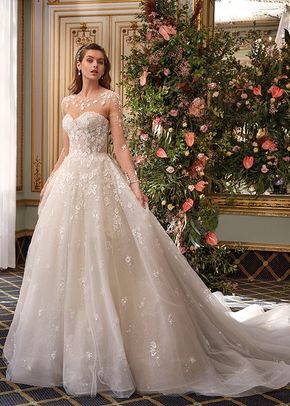 Style Dp504 - Evelina, Demetrios