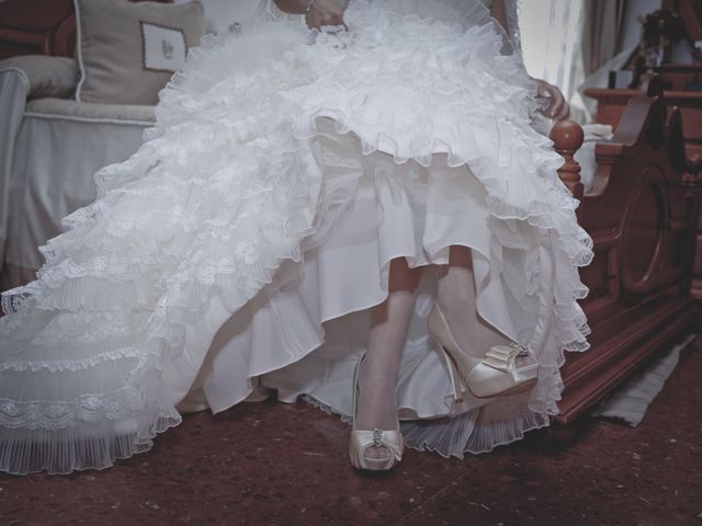 La boda de Rosa y Javier en Zafra, Badajoz 3