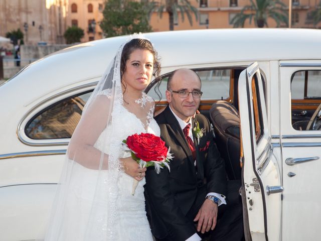 La boda de Pascual y Elisabeth en Elx/elche, Alicante 15