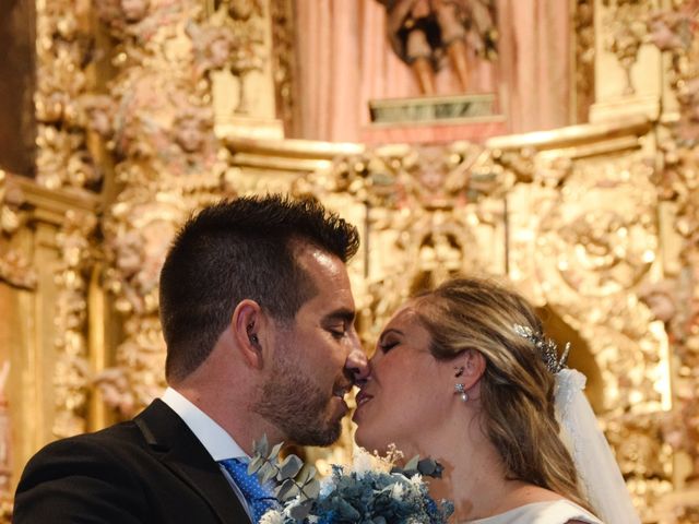 La boda de Fernando y Olga en Ávila, Ávila 35