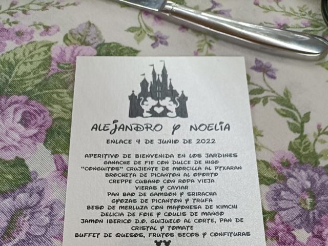 La boda de Alejandro y Noelia en Pedrola, Zaragoza 9
