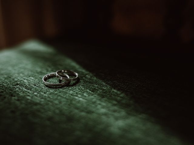 La boda de Néstor y Raluca en Cangas De Onis, Asturias 11