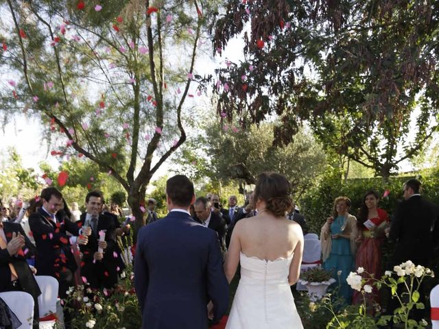 La boda de Javi y Virginia en Aldea Del Fresno, Madrid 5