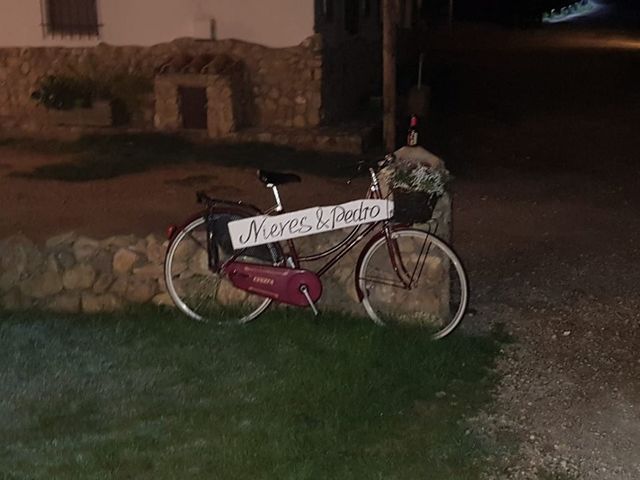 La boda de pedro y Nieves en Olivella, Barcelona 2