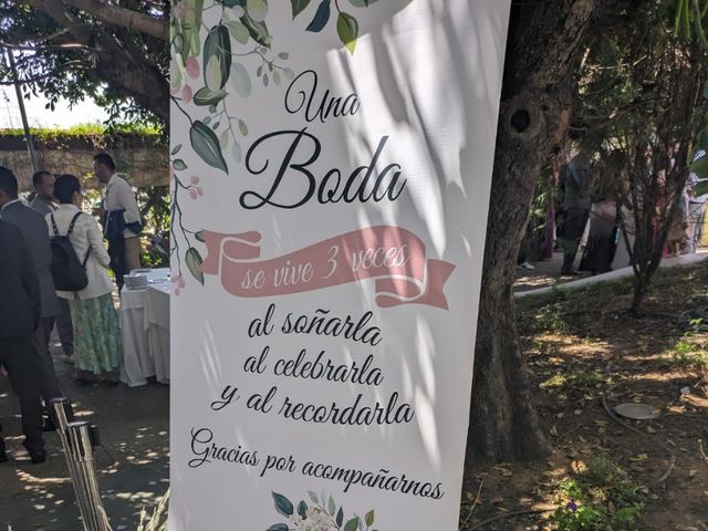 La boda de Alejandro  y Ana en Albal, Valencia 5