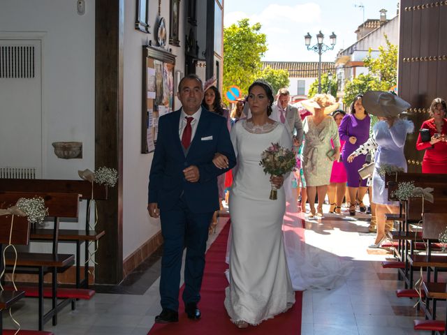 La boda de María y Juan en Cañada Rosal, Sevilla 36