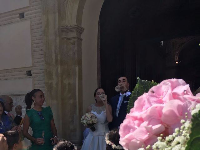 La boda de Javi y María José en Albox, Almería 13