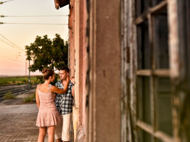 La boda de Pedro y Celeste en Toledo, Toledo 8