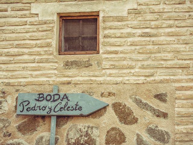 La boda de Pedro y Celeste en Toledo, Toledo 51