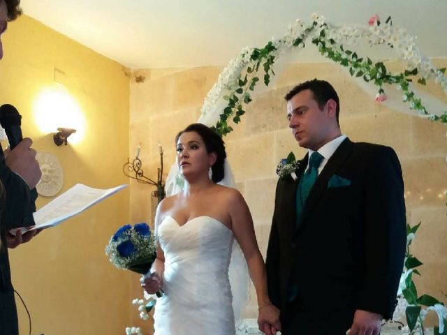 La boda de Ferran  y Carolina  en Alcalá De Henares, Madrid 1