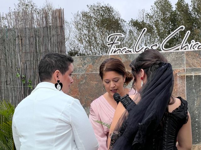 La boda de Gara y Faina  en San Cristóbal de La Laguna, Santa Cruz de Tenerife 6