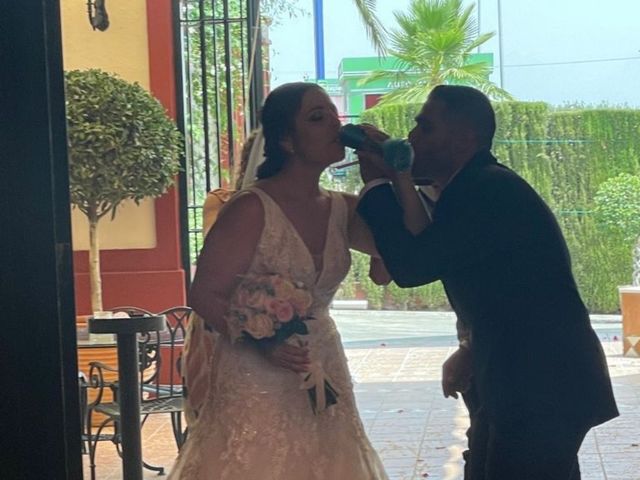 La boda de Miguel y Noelia en Salteras, Sevilla 1