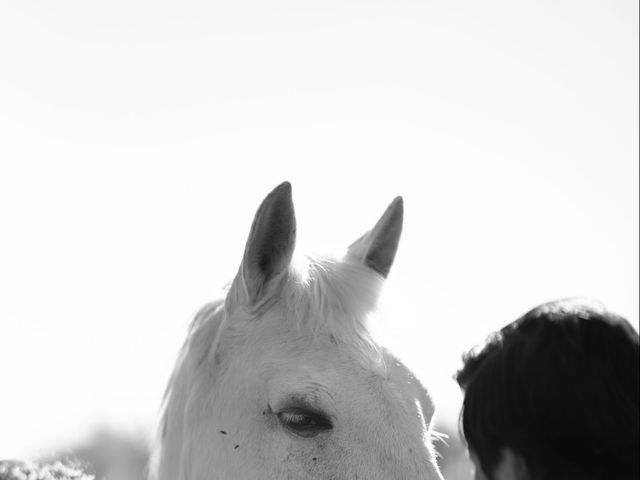 La boda de Cristina y Thiago en Torremocha Del Jarama, Madrid 28