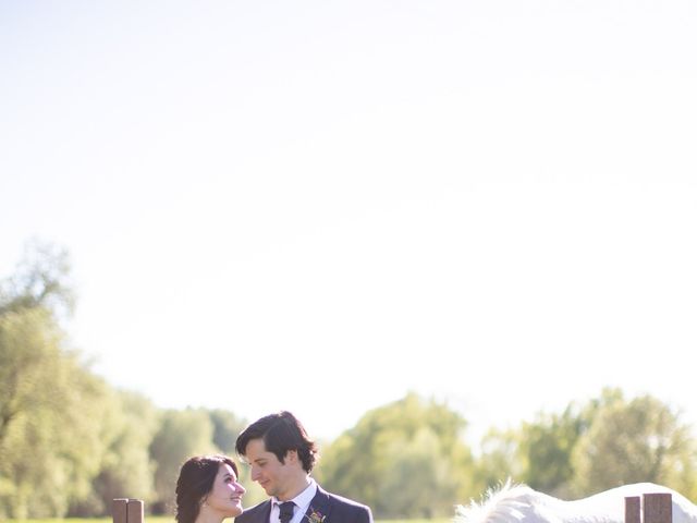 La boda de Cristina y Thiago en Torremocha Del Jarama, Madrid 2