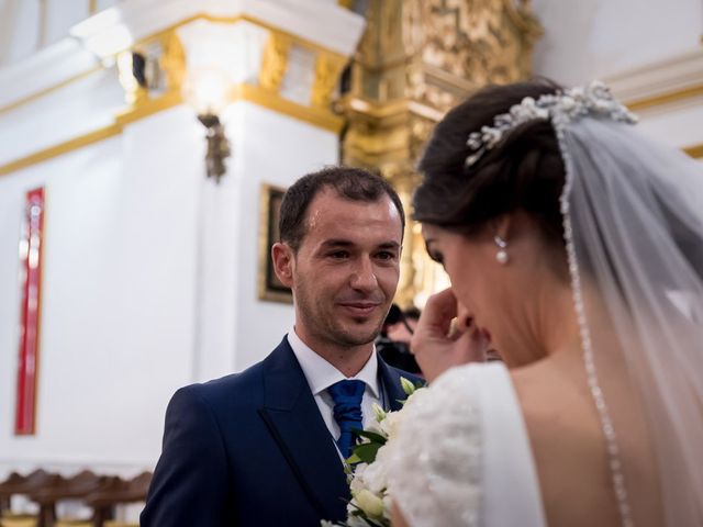 La boda de Pablo y Araceli en Picon, Ciudad Real 12