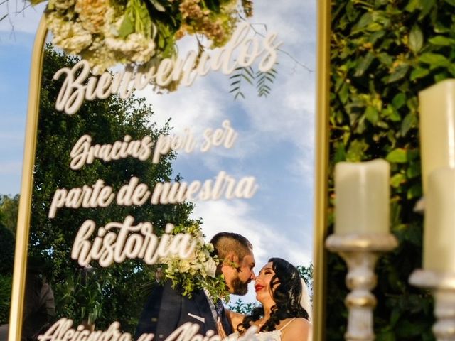 La boda de Alejandro y Alejandra en Málaga, Málaga 8