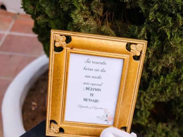 La boda de Alejandro y Alejandra en Málaga, Málaga 25