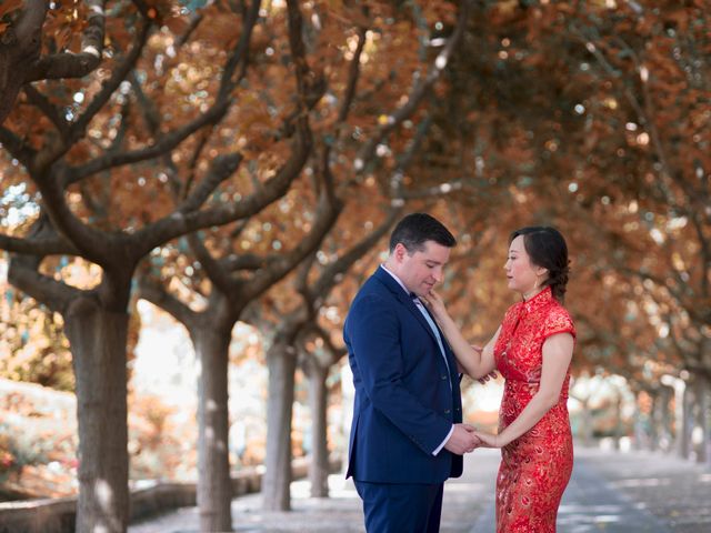 La boda de Javier y Xianwei en Toledo, Toledo 19